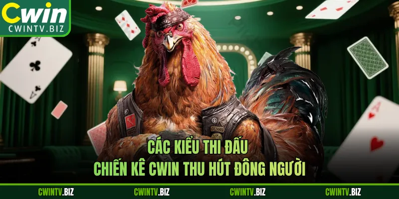 Các kiểu thi đấu chiến kê Cwin thu hút đông người