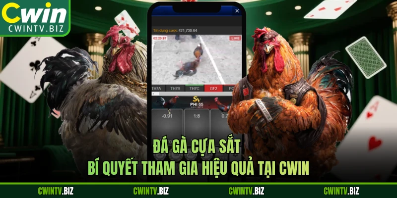 Đá Gà Cựa Sắt - Bí Quyết Tham Gia Hiệu Quả Tại CWIN