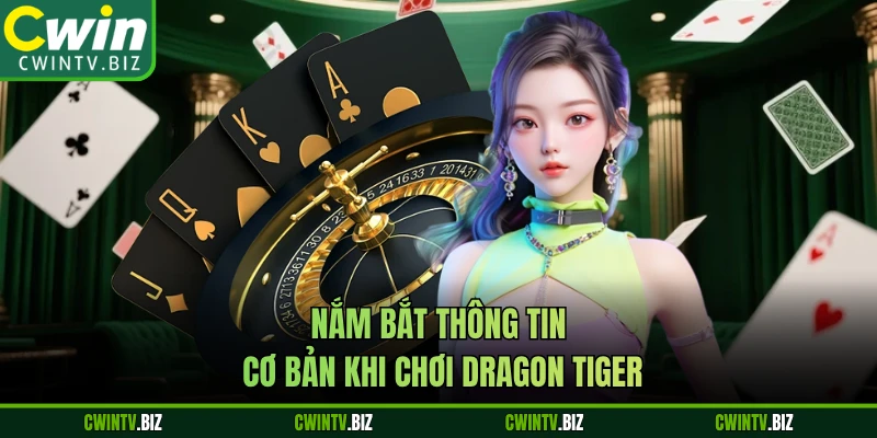 Nắm bắt thông tin cơ bản khi chơi Dragon Tiger